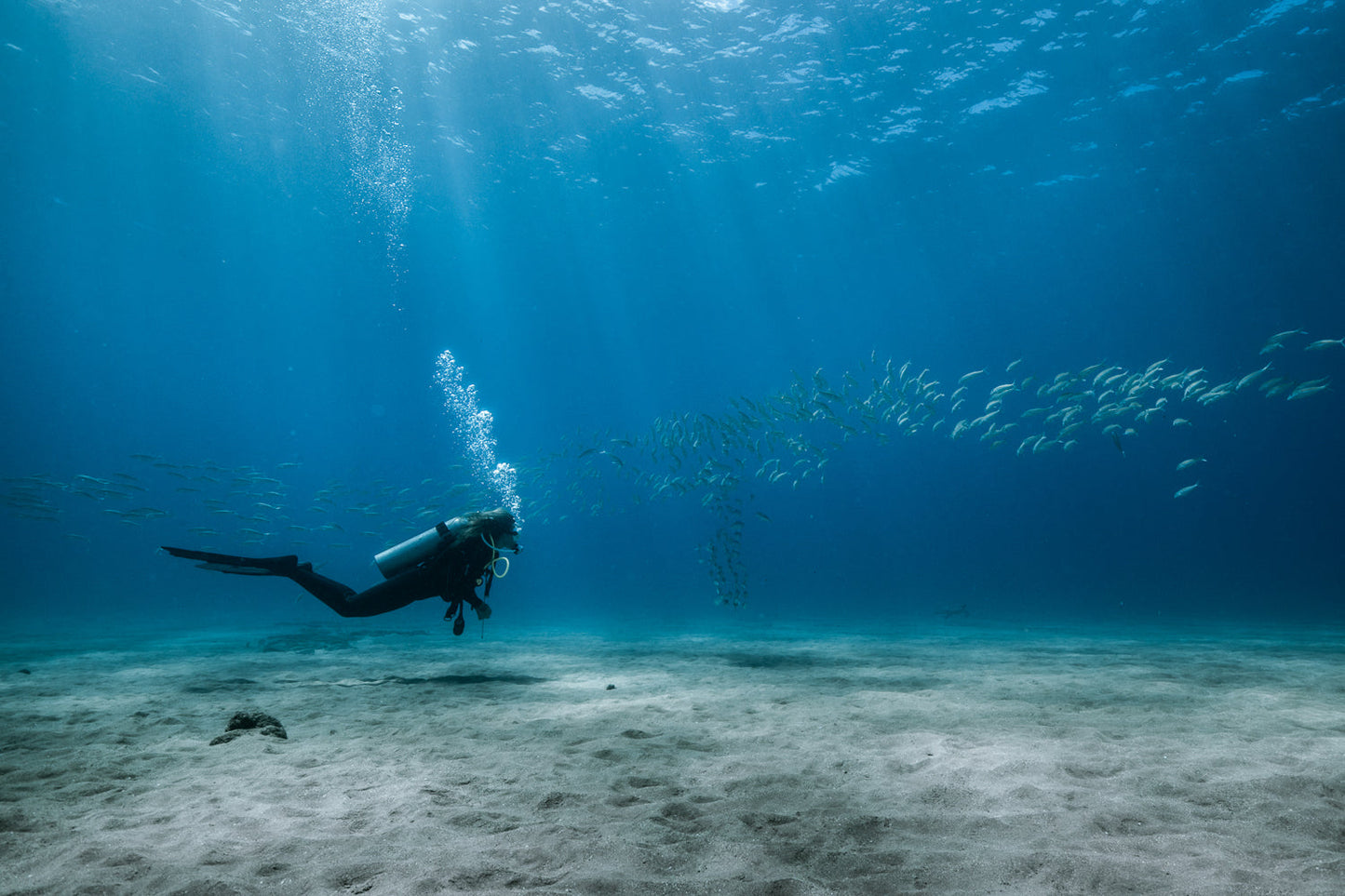 Cours niveau 1 EN LIGNE (E-LEARNING) Padi 21-22 février 2026