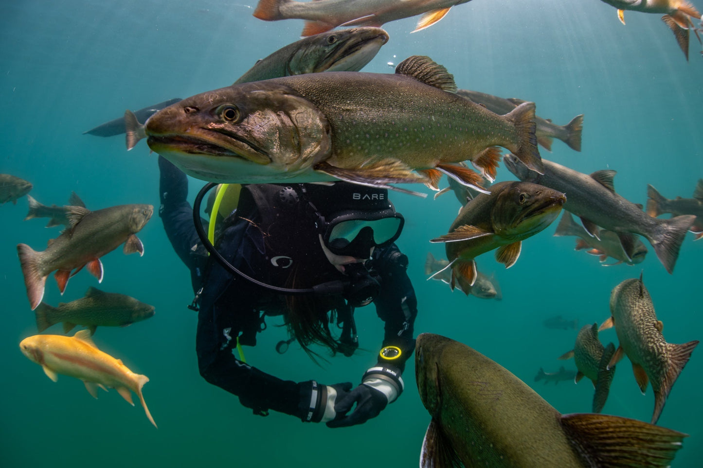 Cours niveau 1 Padi PRÉSENTIEL 31 mai -1 juin 2025