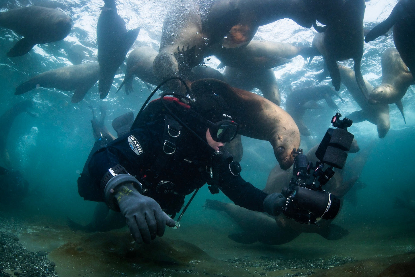 Cours niveau 1 Padi 16-17 mars 2024