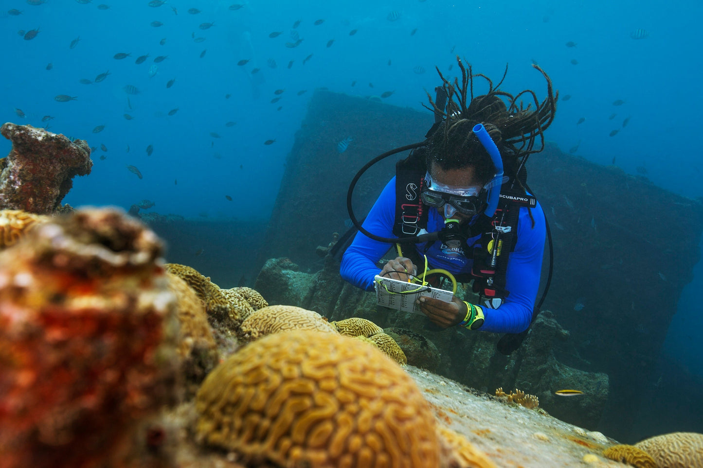 Cours niveau 1 Padi PRÉSENTIEL  2-3 novembre 2024